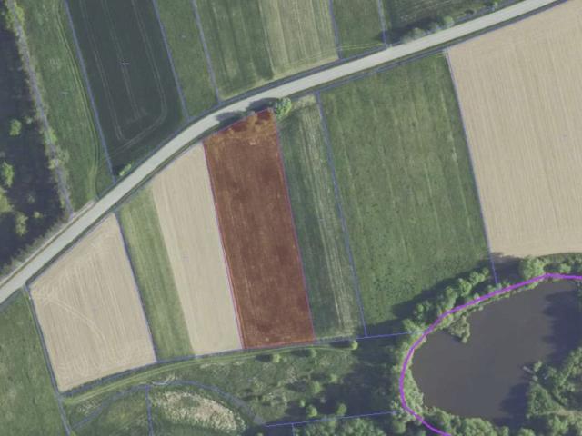 Palikówka, 4 200 m2