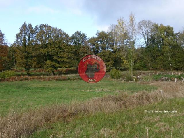 Palleau Vente Terrain 71