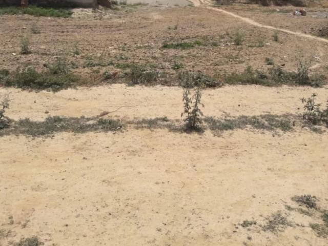 PALM CITY commercial plot Lahore Ferozepur Road ID 70388