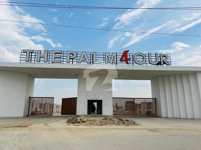 Palm Four Plot For Sale