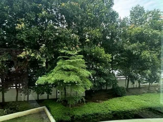 Palm Gardens D23, Condominium