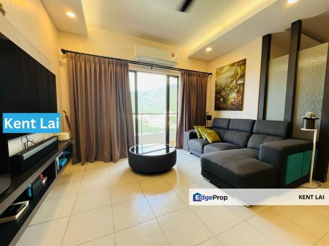 Palm Palladium