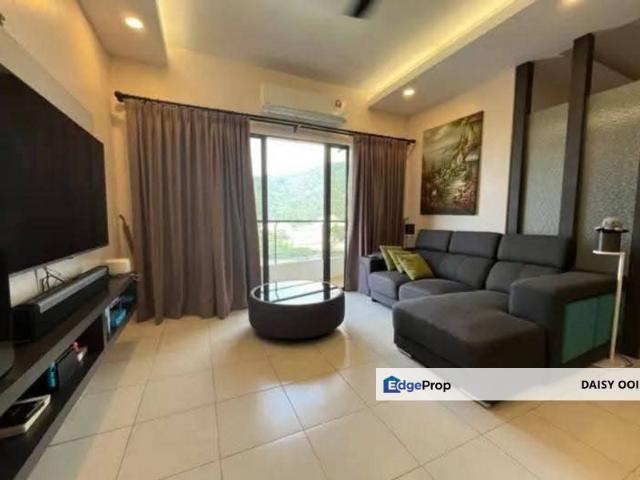 Palm Palladium