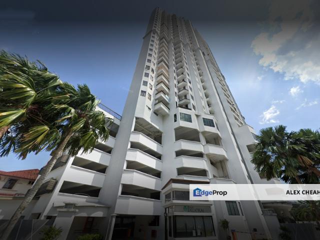 Palm Palladium