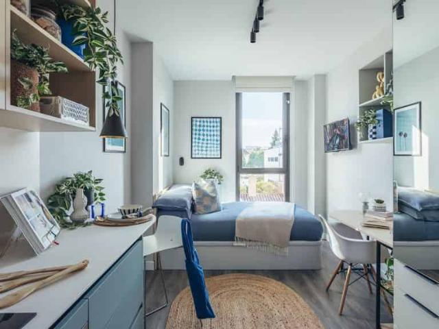 Palm Studios Seville, Student Accommodation Seville | Amber