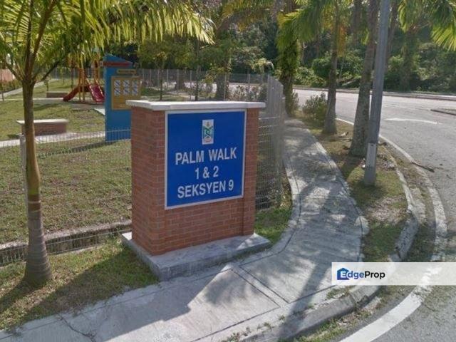 Palm Walk