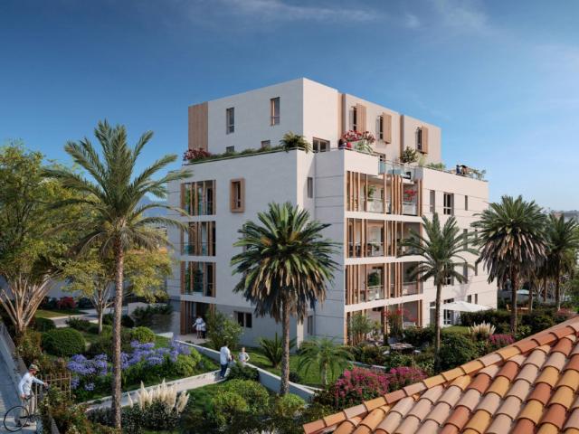 PALMA 13010