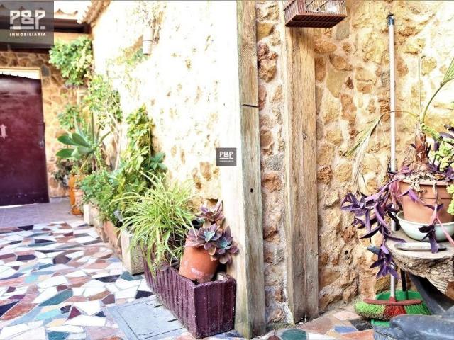 PALMA DE MALLORCA, ZONA MOLINAR