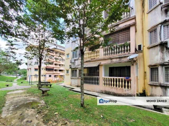 Palma Perak, Seksyen 6 Kota Damansara