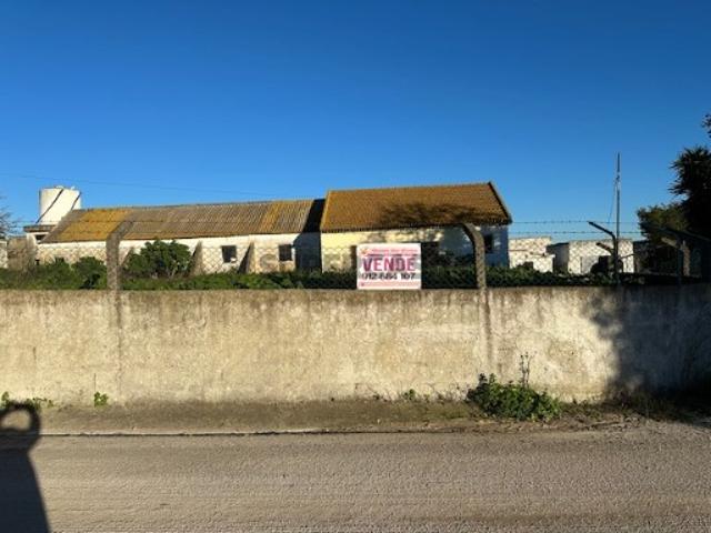 PALMELA CAJADOS QUINTA C/ 12.650M2, C/ HABITAÇÃO E ARMAZÉNS