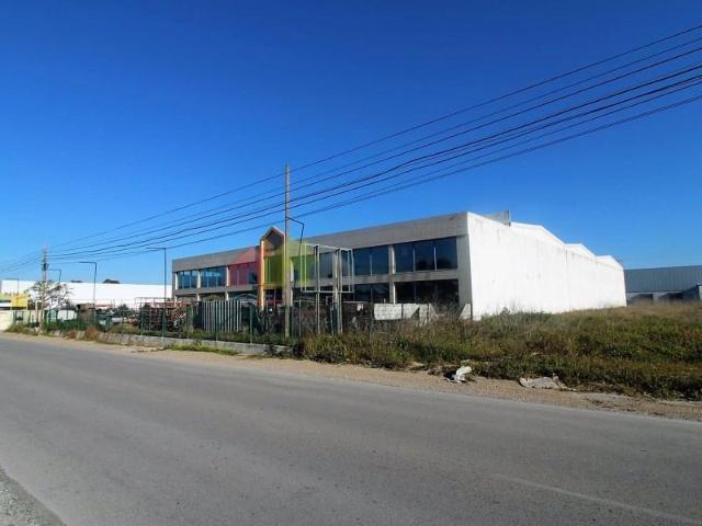 Palmela Palmela 104766548