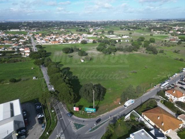Palmela Palmela 103085161