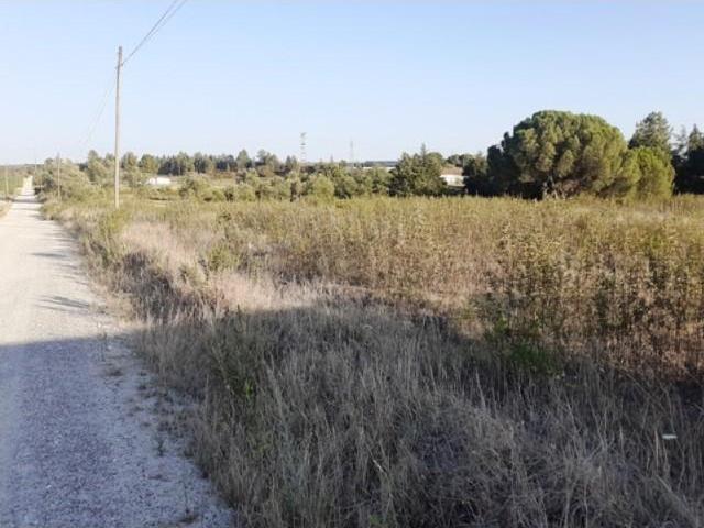 Palmela Palmela 87079593