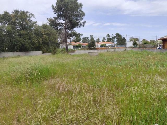 Palmela Palmela 94215342