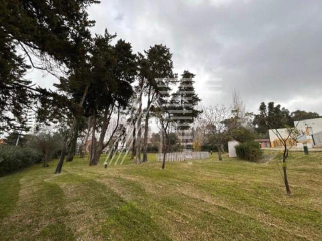 Palmela Palmela 96084596