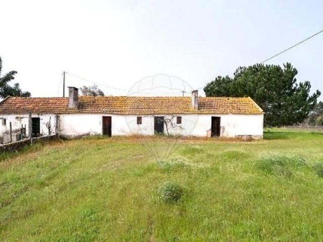 Palmela Setúbal 103323416
