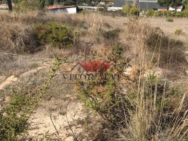 Palmela Setúbal 78784503