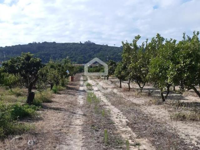 Palmela Setúbal 96001005