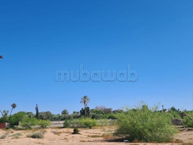 Palmeraie à 5 mn du centre magnifique terrain pour une villa