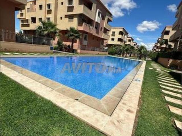 Palmier Targa haut standing piscine