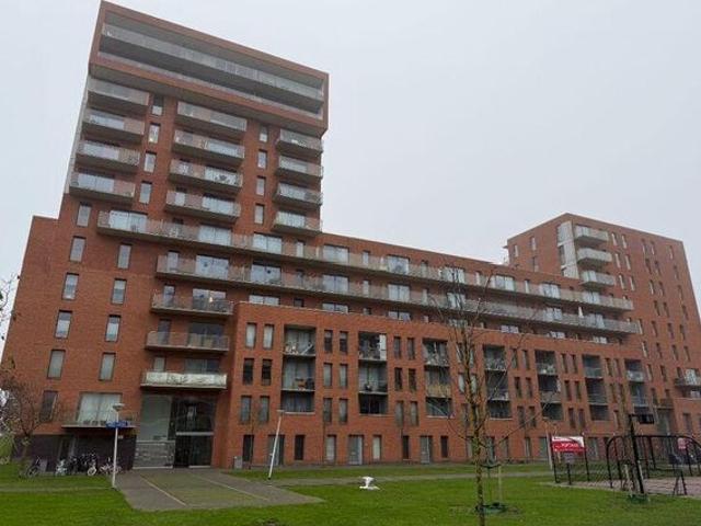 Palmyraplaats, 164, 2624NP, Delft, Zuid Holland 2624NP