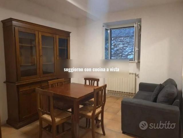 PALOMBARA SABINA BiLOCALE ARREDATO BEN COLLEGATO