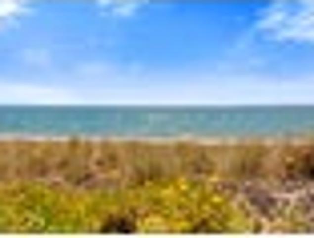 Papamoa, 4 bedrooms, $1050 pw
