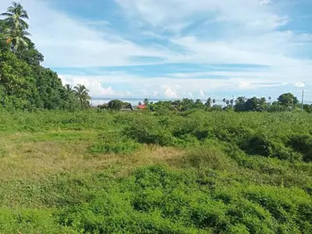 Papara 98712 Achat / Vente terrain