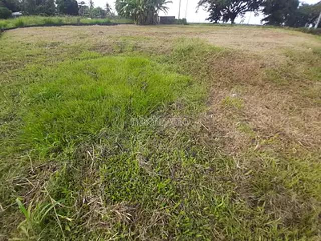 Papara 98712 Achat / Vente terrain