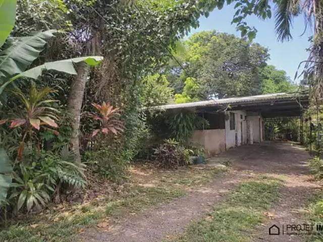 Papara 98712 Achat / Vente terrain