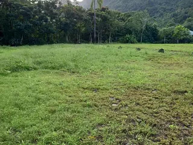 Papara 98712 Achat / Vente terrain