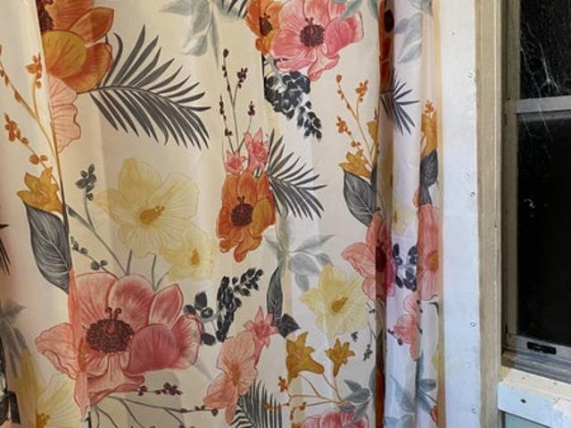 papatoetoe, 1 bedroom