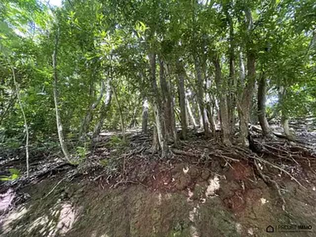 Papeete 98714 Achat / Vente terrain