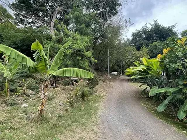 Papeete 98714 Achat / Vente terrain