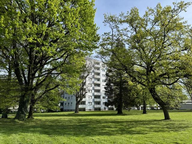 Pappelweg 1 3 Eigentumswohnungen in Offenburg zu verkaufen.