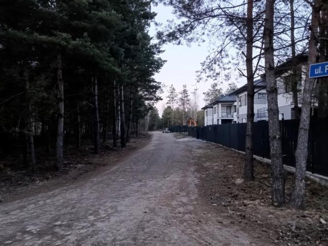 Paproci 1 964 m², Trzciany