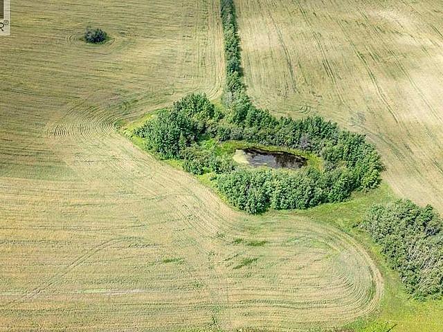 Part Of Ne 24 47 1 w5 Rural Wetaskiwin No. 10, County Of, Albert