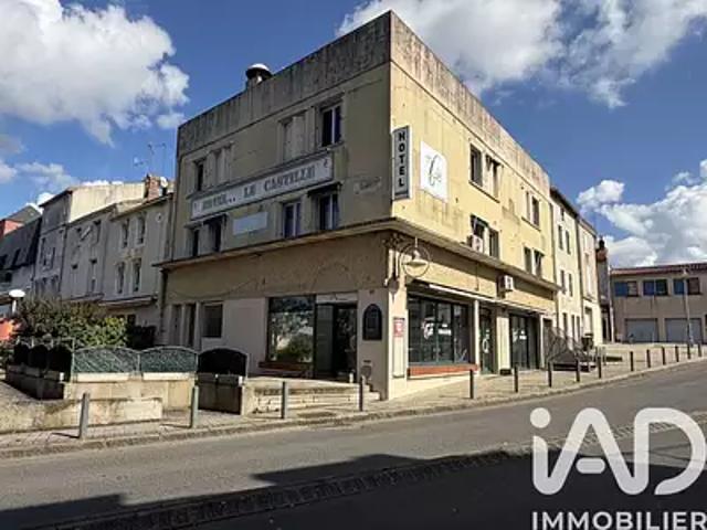 Parthenay 79200 Achat / Vente divers