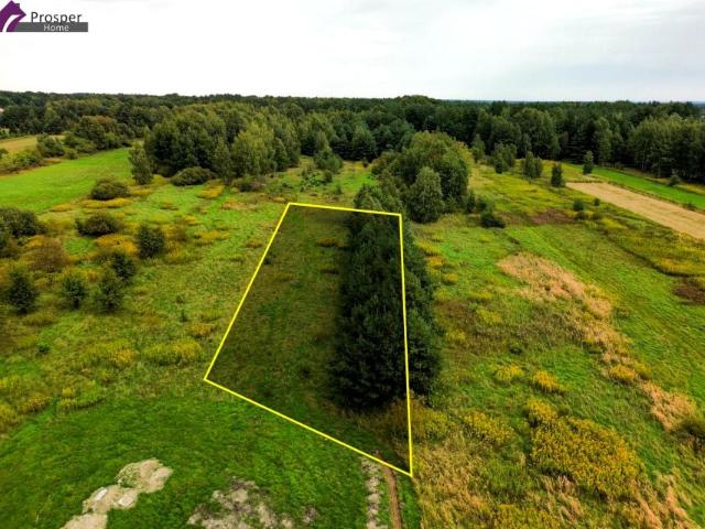 Partyzantów 1 085 m², Głogów Małopolski