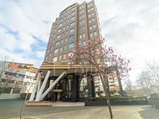 para alugar Escritório de 283 m2 Rua de Dom Pedro V, Porto