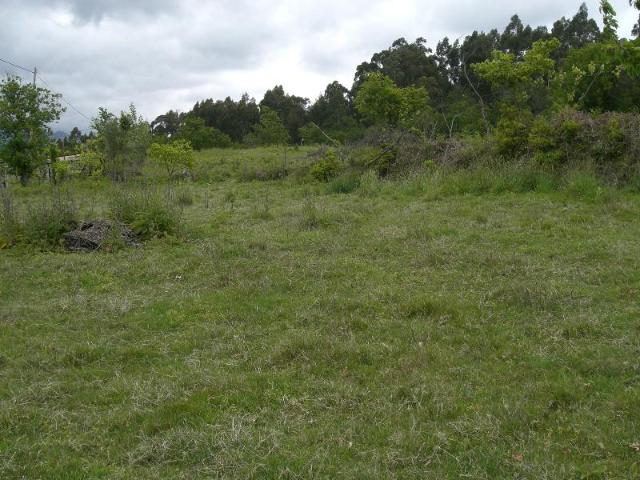 Para construção, com vistas para a Barragem da Caniçada, com projeto aprovado