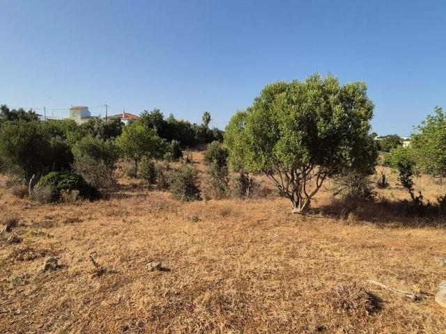 para construção na zona de Faro, Faro, Conceicao