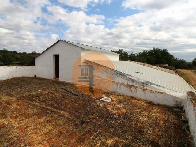 Para Reconstruir. Terreno com Ruína perto de Pechão! 127m² Pechão