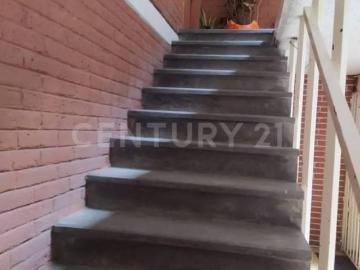 Para Remodelar Av. Insurgentes Norte, Av. Ricardo Flores Magón
