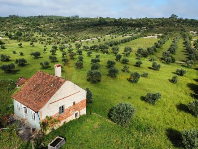 Para venda: Bela casa antiga para renovar  magnífico terreno arborizado