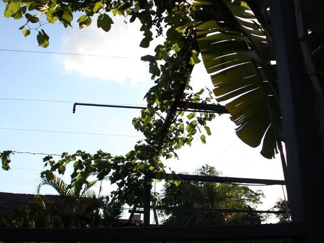 Paraguay.Gepflegtes Stadthaus mit Pool und Garten in Aregua