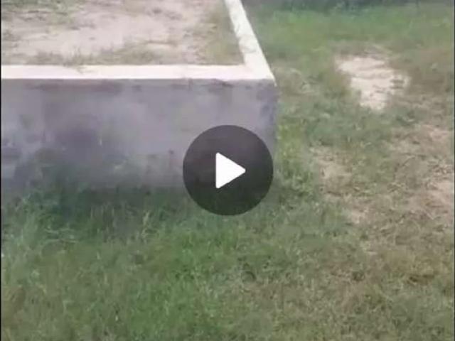 Paradaise estate Faisalabad ID 64704