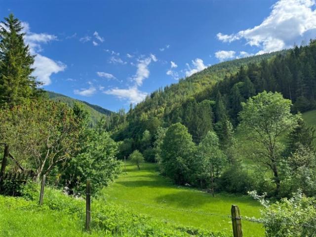 Paradies in Nähe zu Graz Wunderbarer Besitz in Großstübing