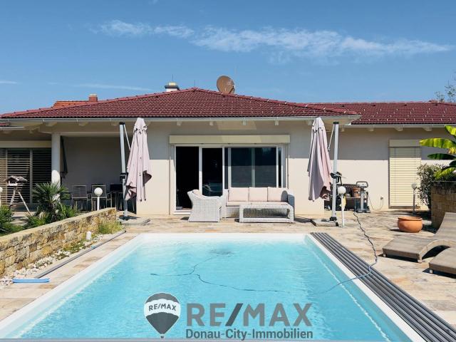 Paradies mit Palmen und Pool