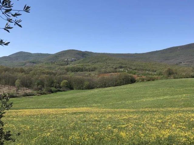 Paradiso da svilupare m² Avigliano Umbro